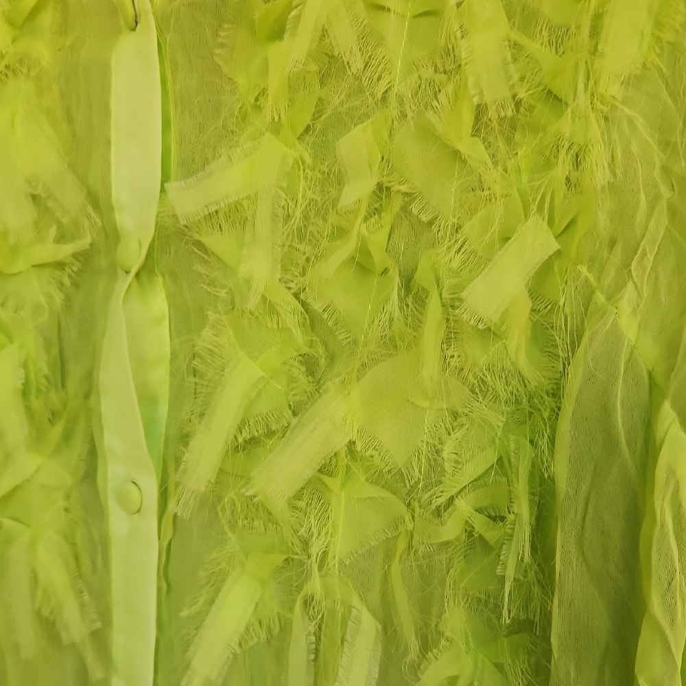 Sheer Ruffle Front Button-Down Blouse - Neon Yellow - Picture 4 of 7